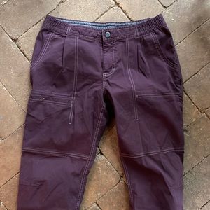 Mountain Hardwear jogger style pants